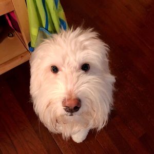 Meet your Posher, Robin